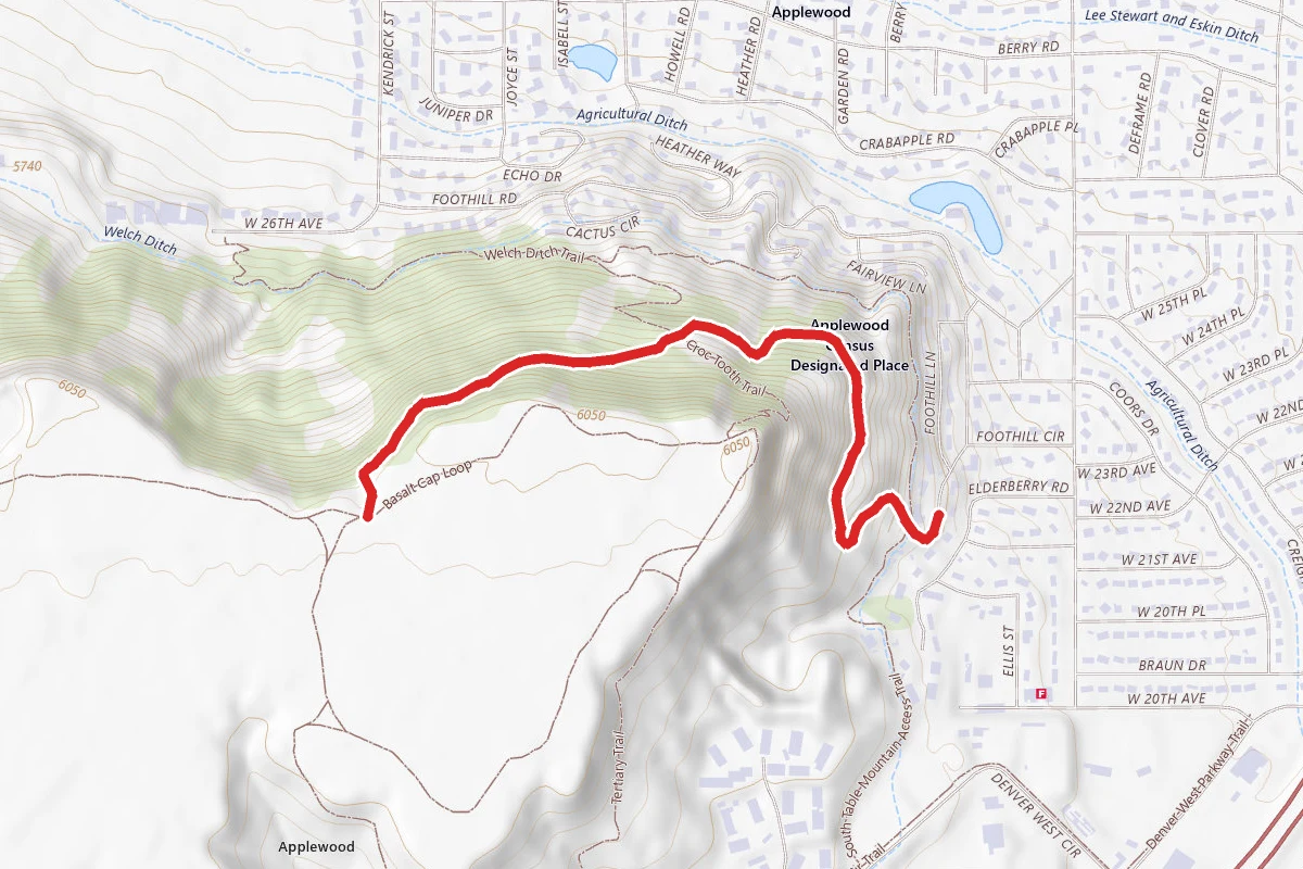 Ancient Palms Trail
