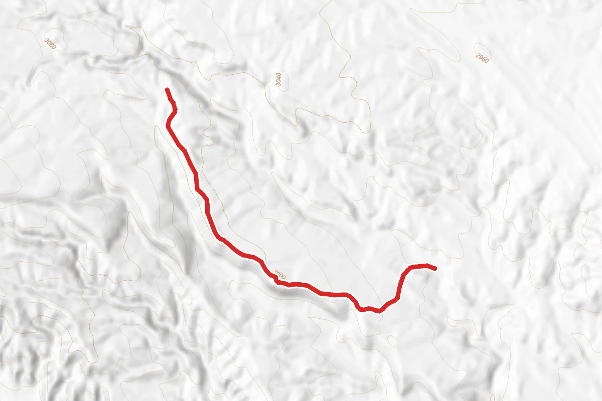 Stucki Springs