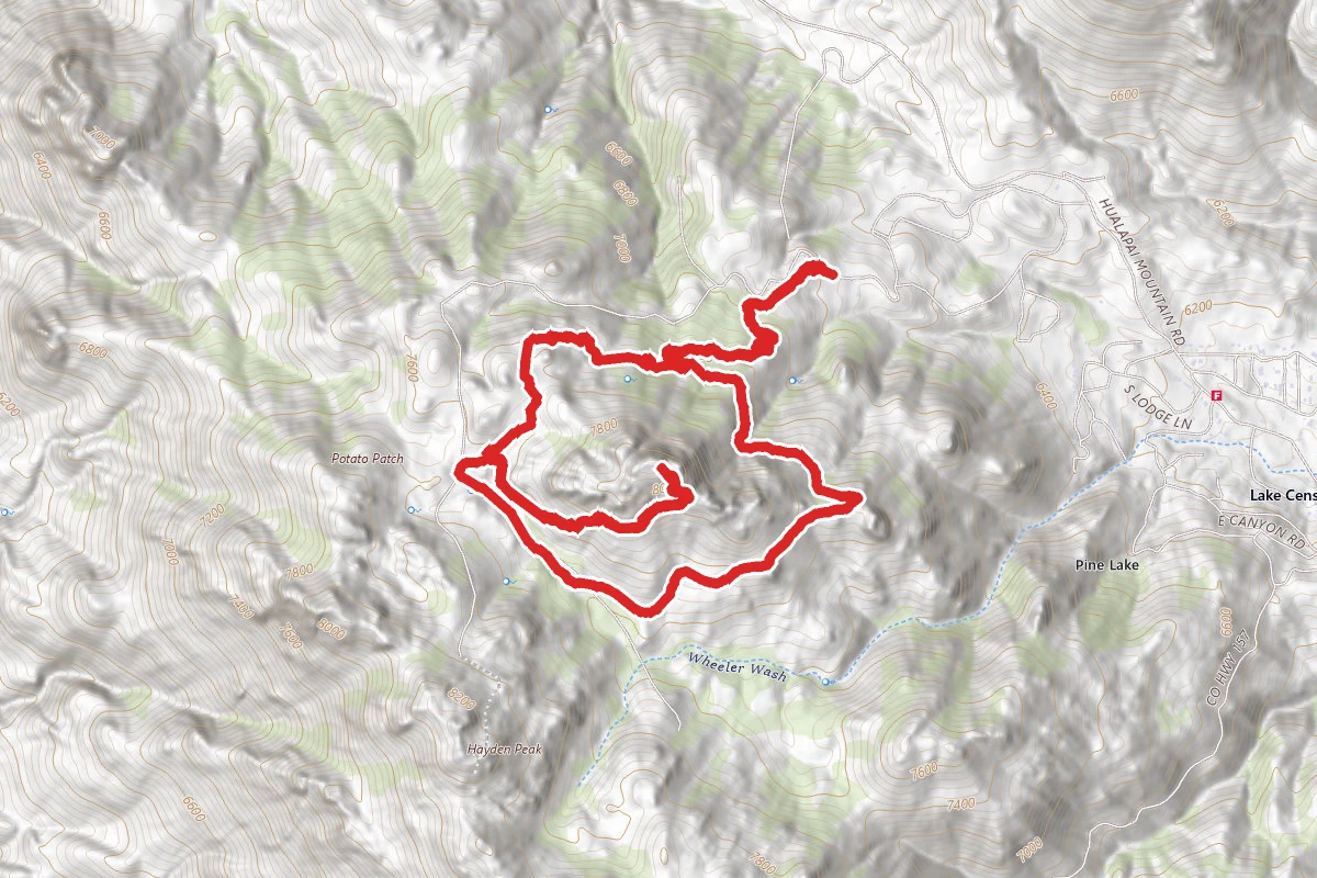 Hualapai Mountain via Patato Patch Loop
