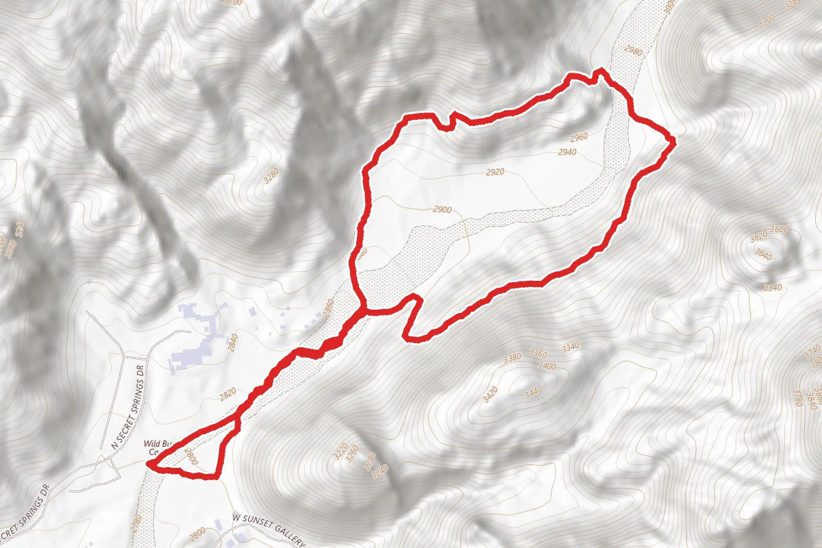 Lower Javelina and Wild Burro Loop Trail
