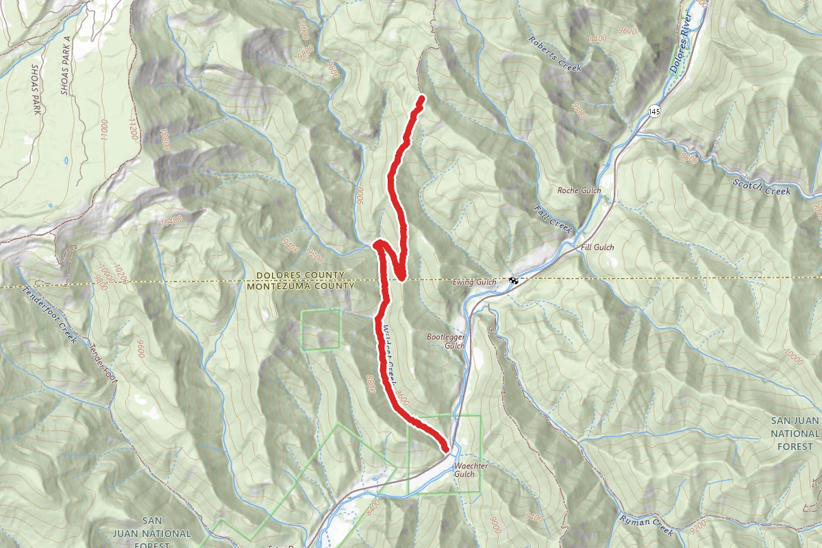 Wildcat Trail