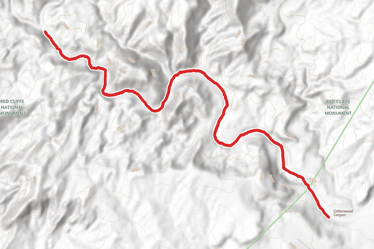 Cottonwood Canyon