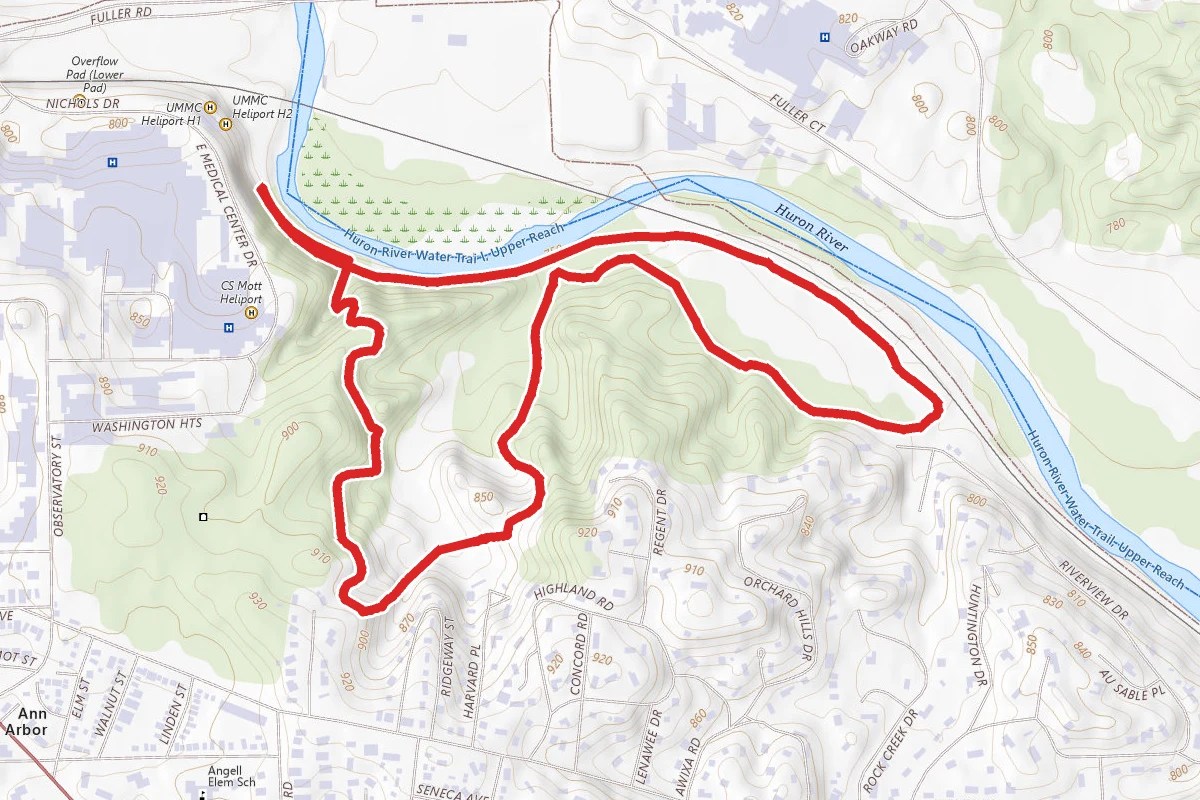 Nichols Arboretum Loop Trail