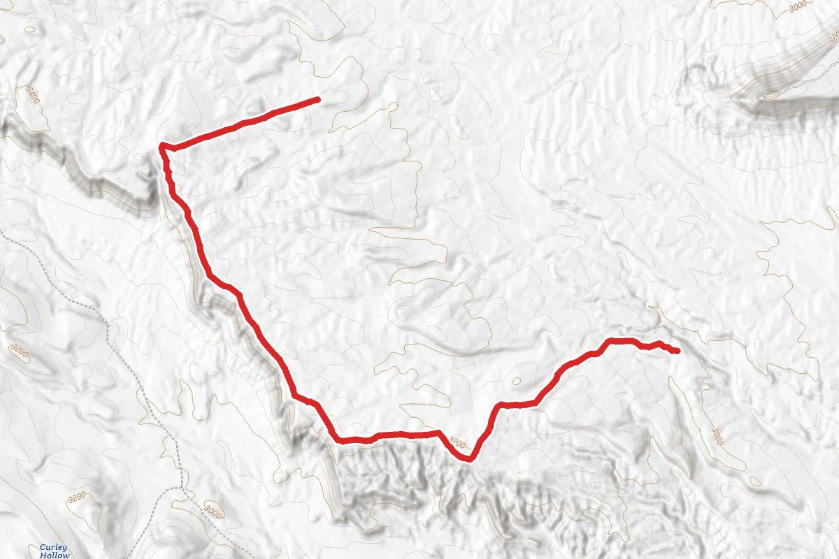 Stucki Springs