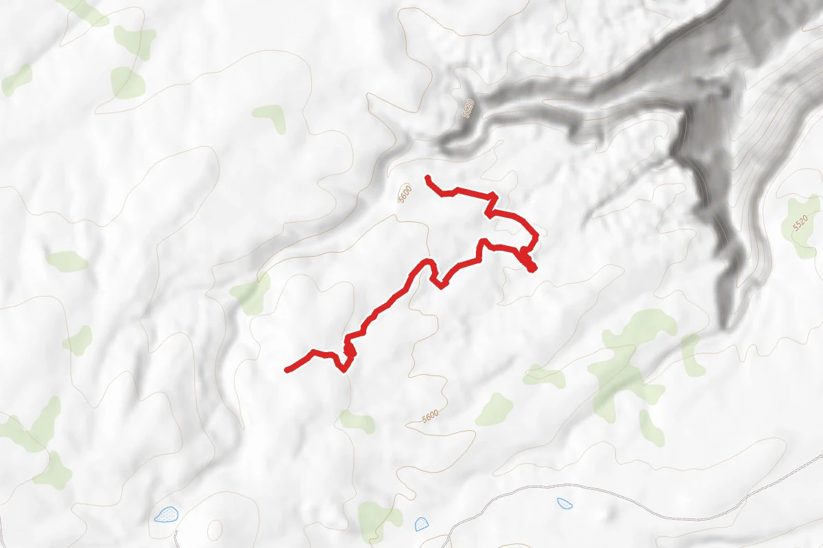 Alternate Loop