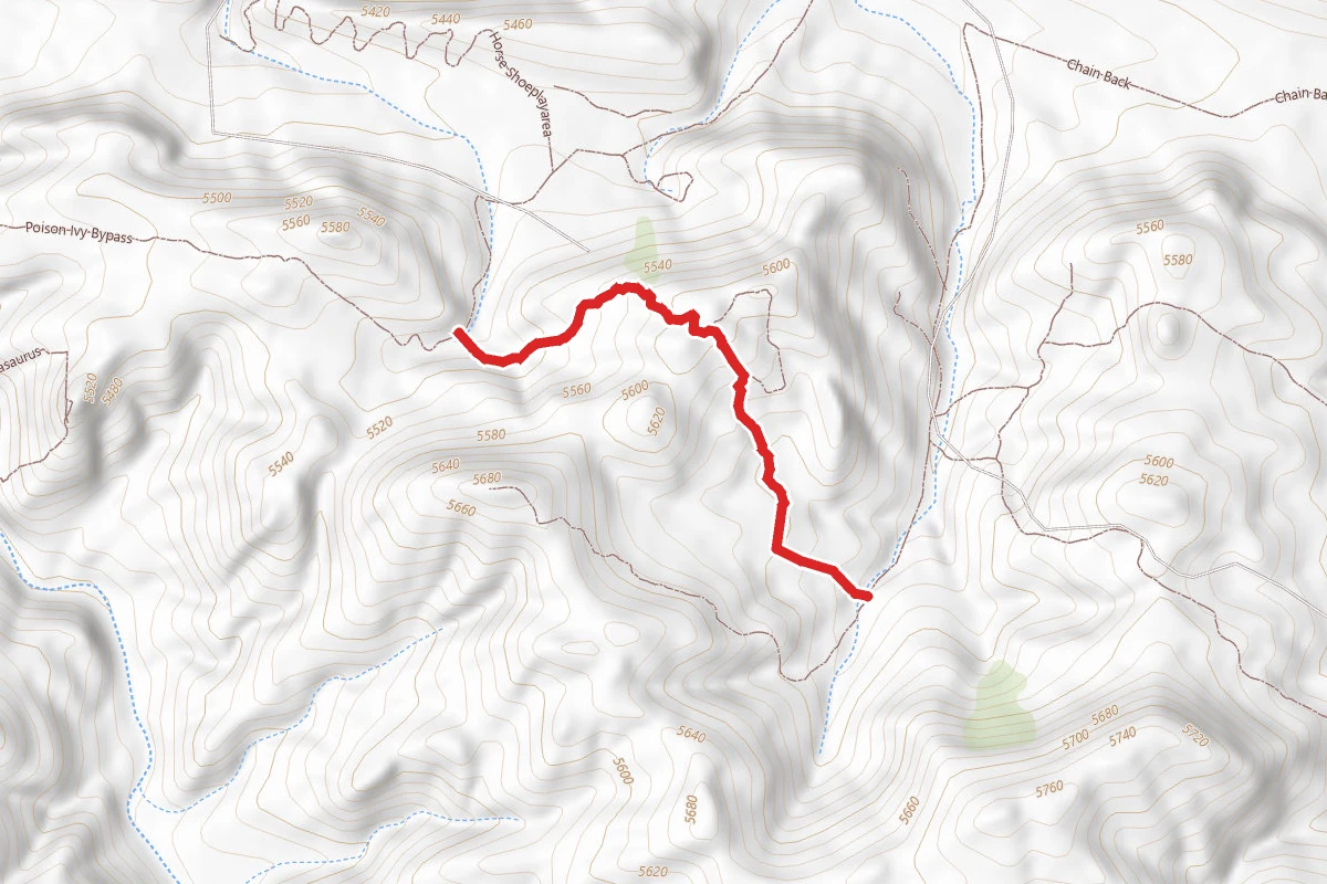 New Bump Trail