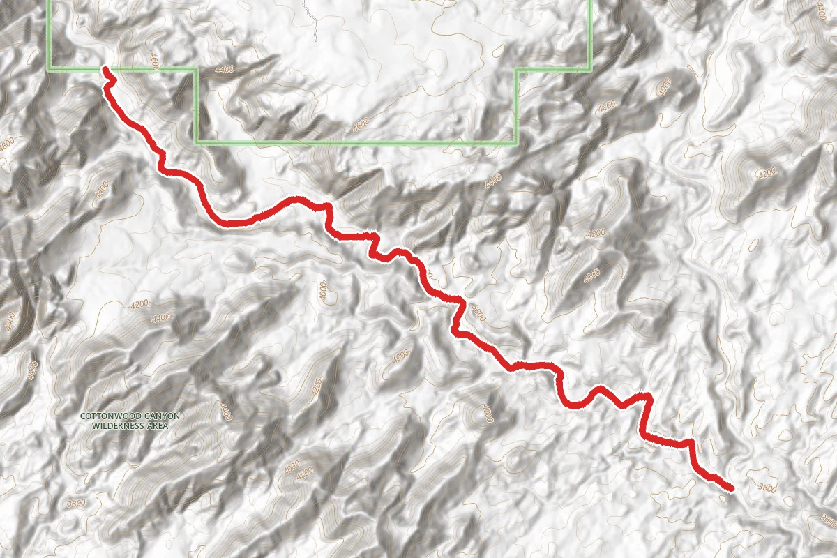 Cottonwood Canyon