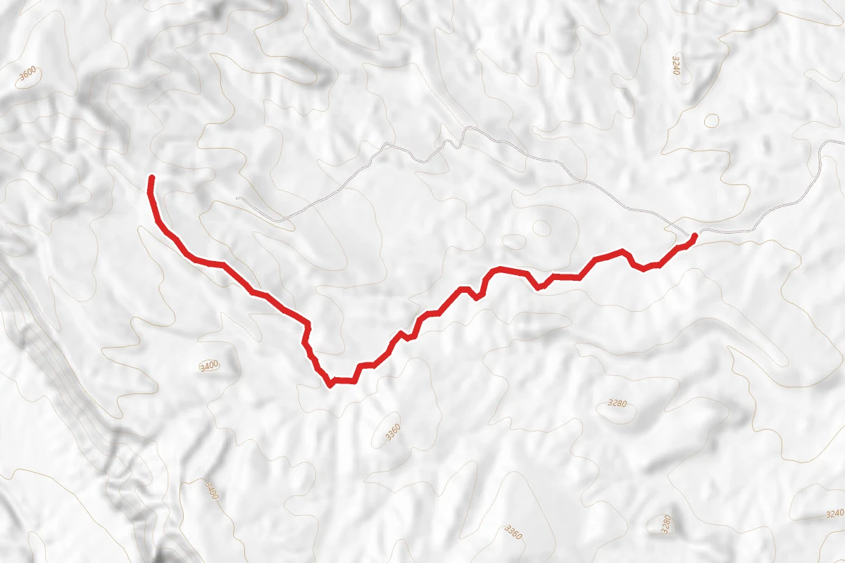 Box Canyon Alt