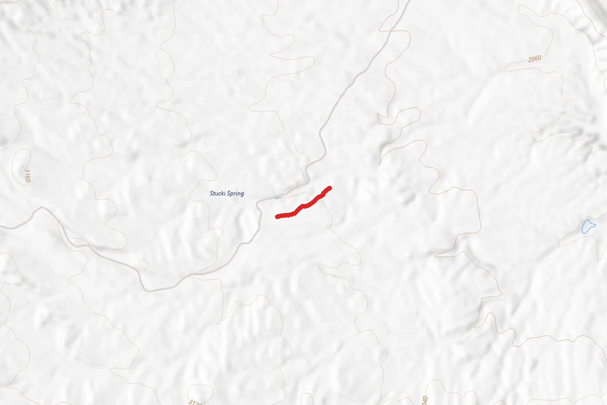 Stucki Springs