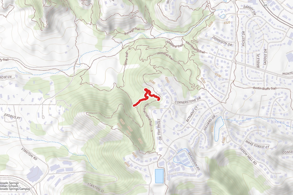 Spine Trail