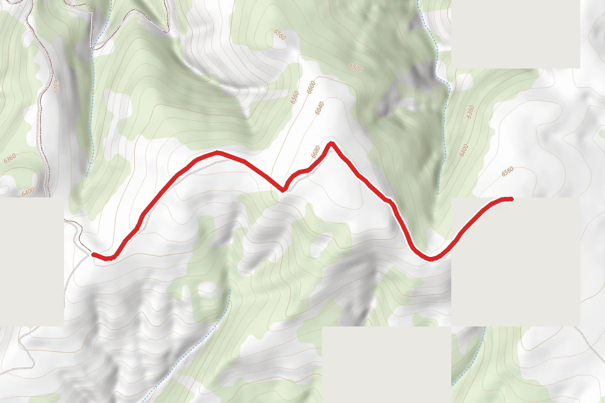 Big Ridge Trail