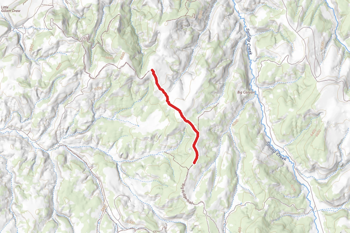 Big Ridge Trail