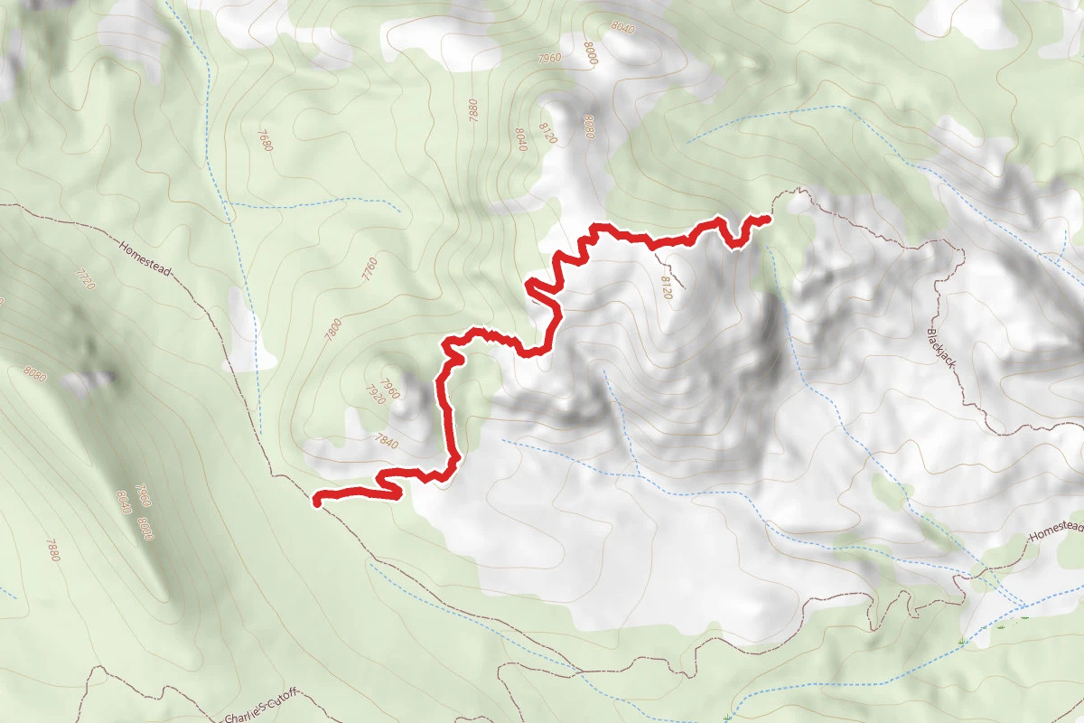 Raspberry Ridge Trail