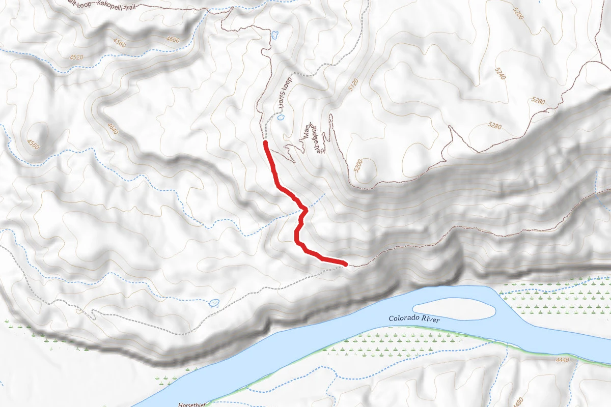 Lion's Loop