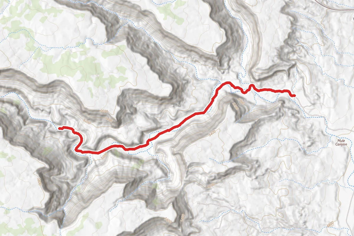 Mule Canyon