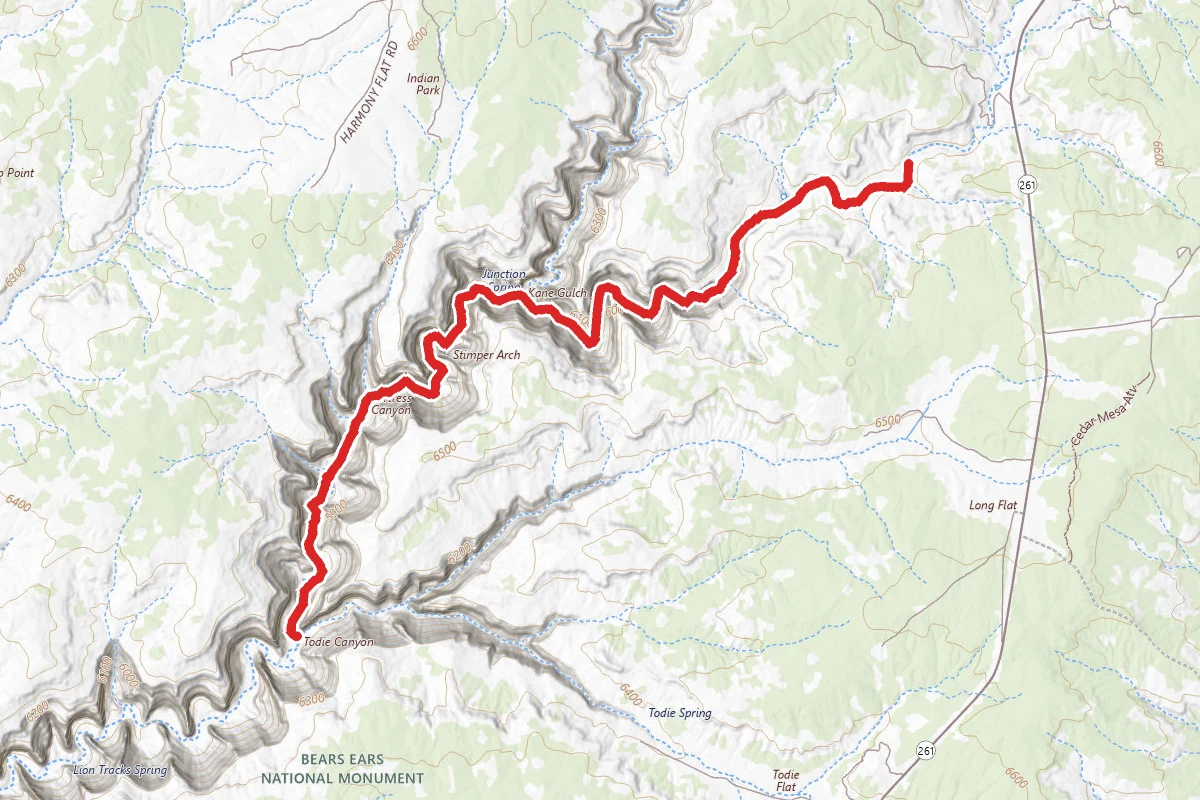 Grand Gulch