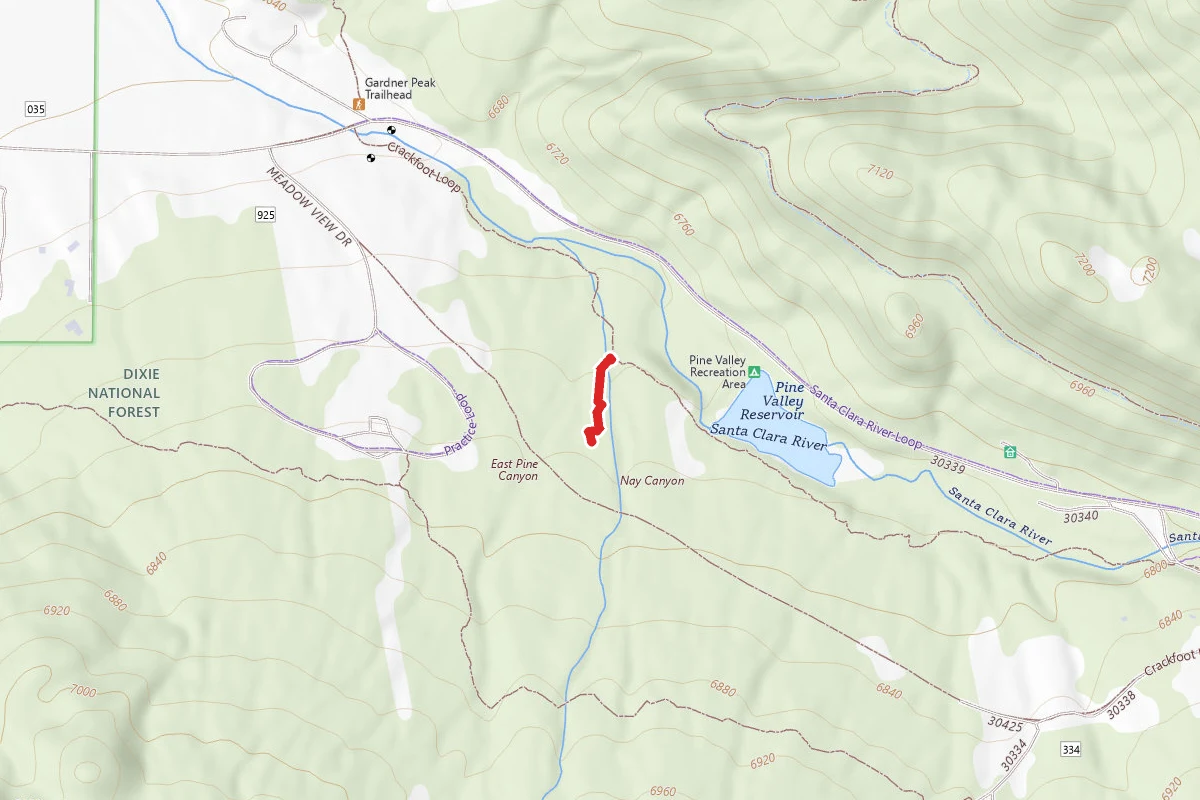 Pine Valley Campground Trail