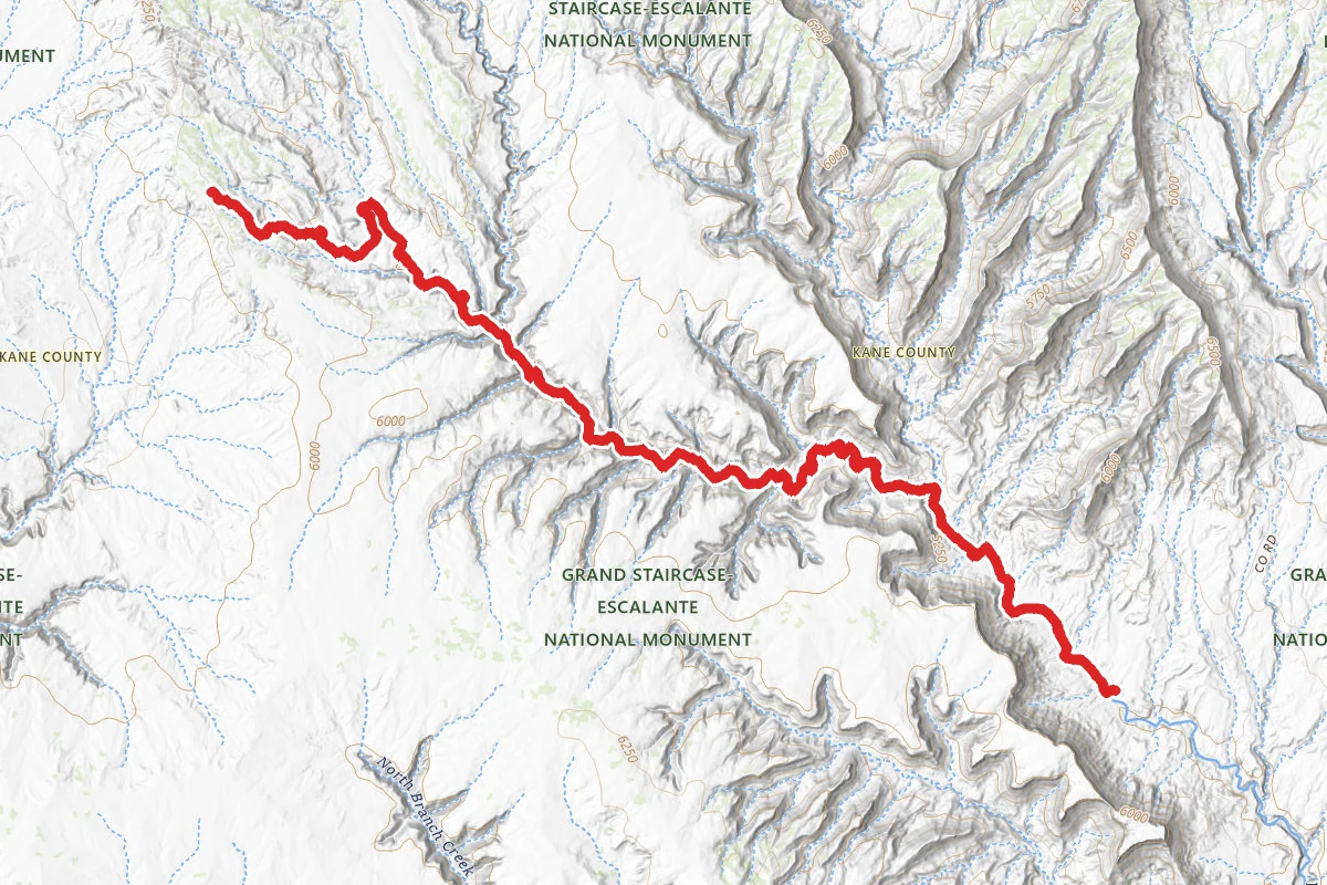 Last Chance Creek - Paradise Canyon