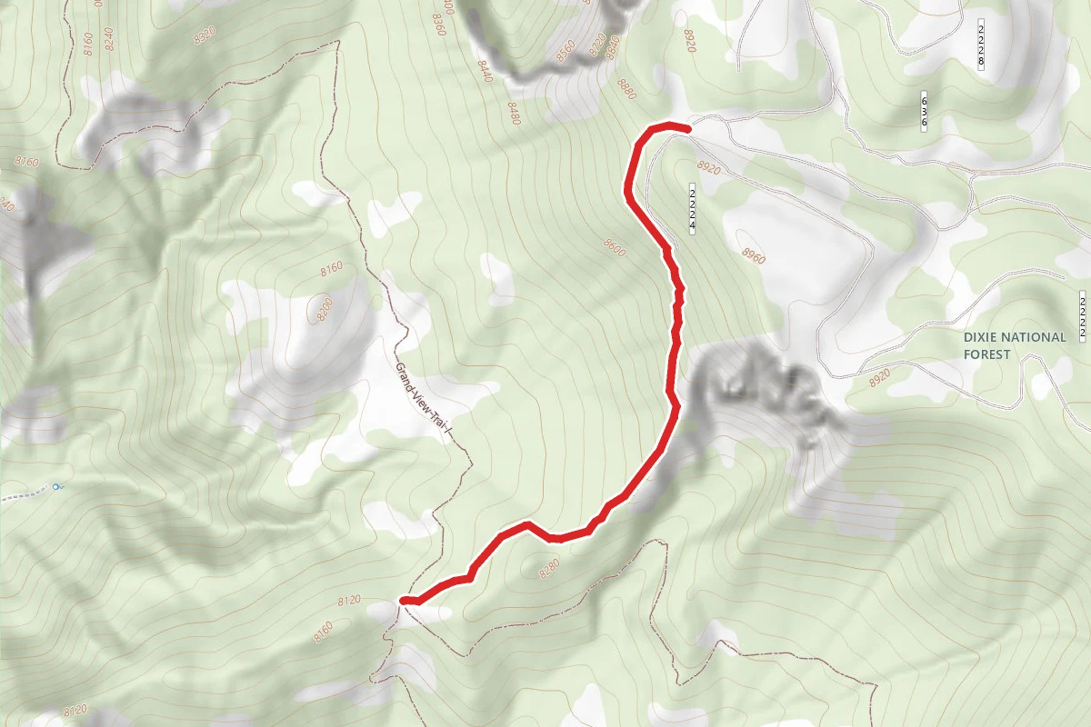 Swapp Canyon