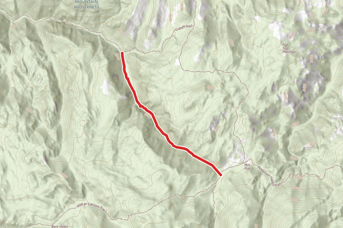 Mill Canyon