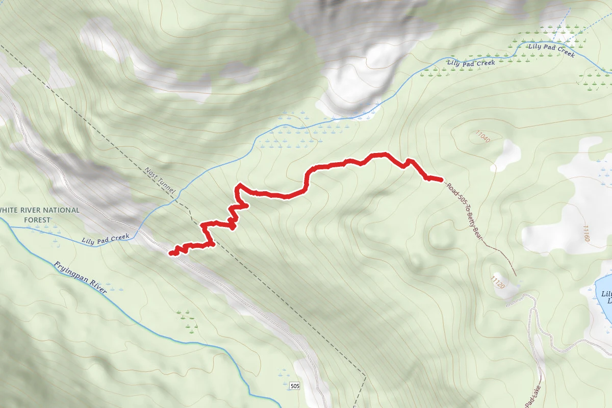 Road 505 to Betty Bear