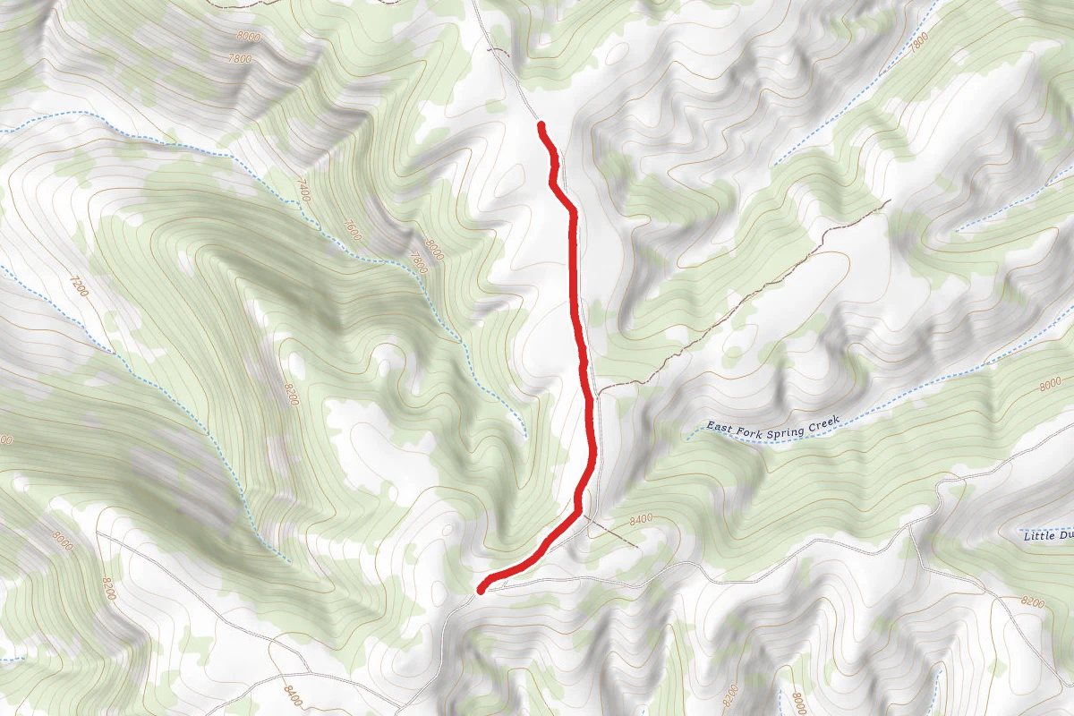The Shoulder Road
