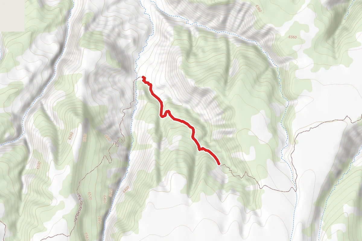 Yampa Valley Trail