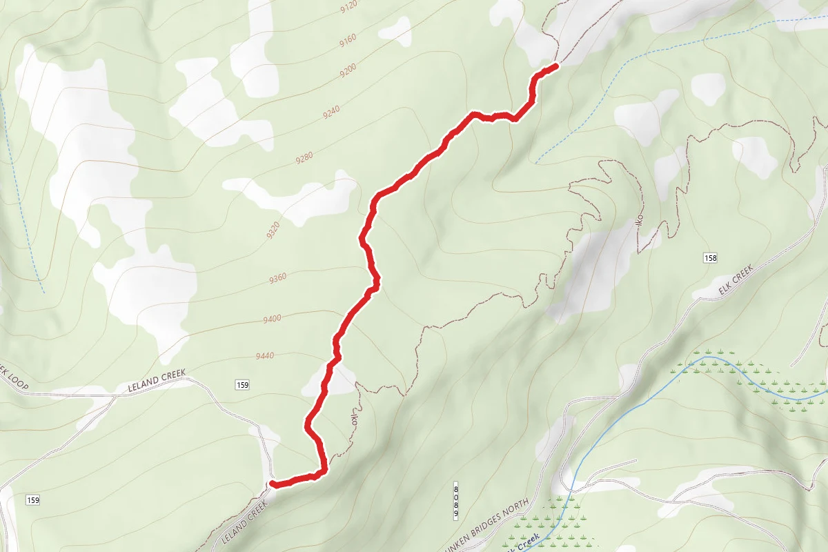 Zoom Trail