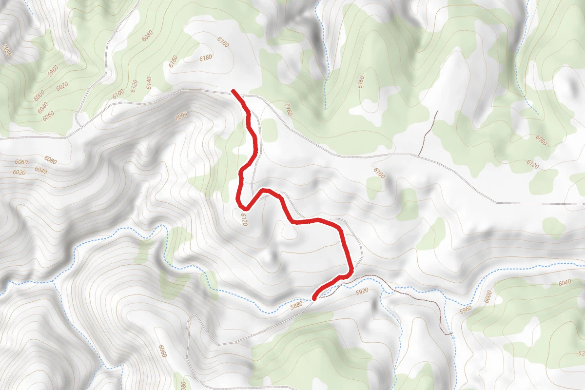 Coal Draw Loop