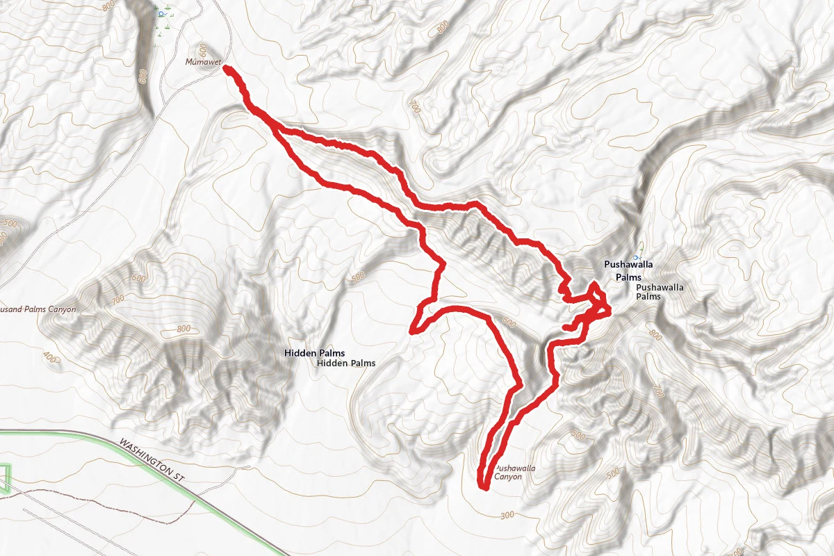 Hidden Horseshoe and Pushwalla Palms Trail