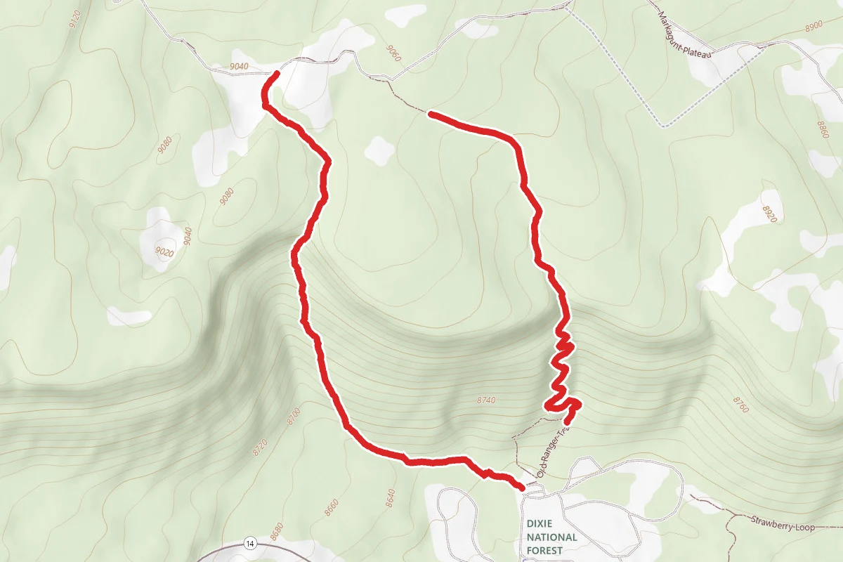 Lost Hunter Trail