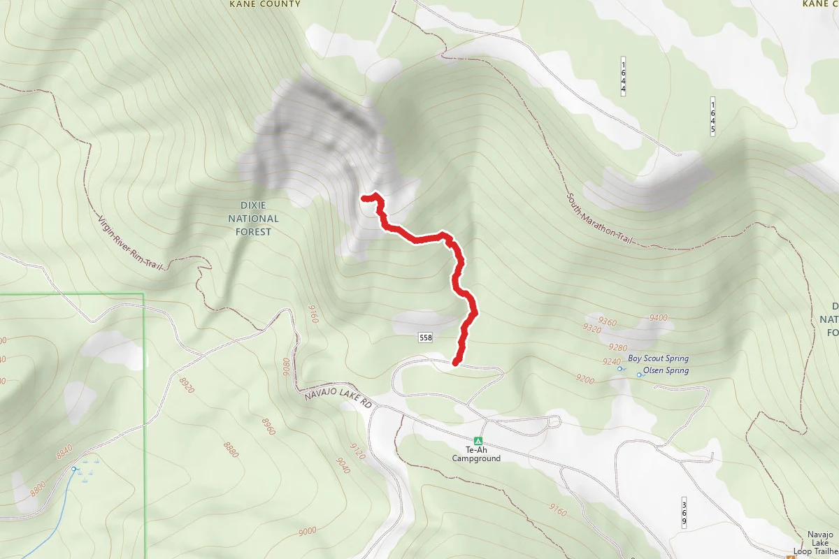 Pinks Trail