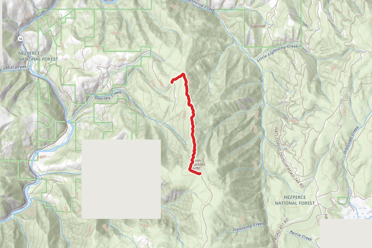 Blacktail Butte