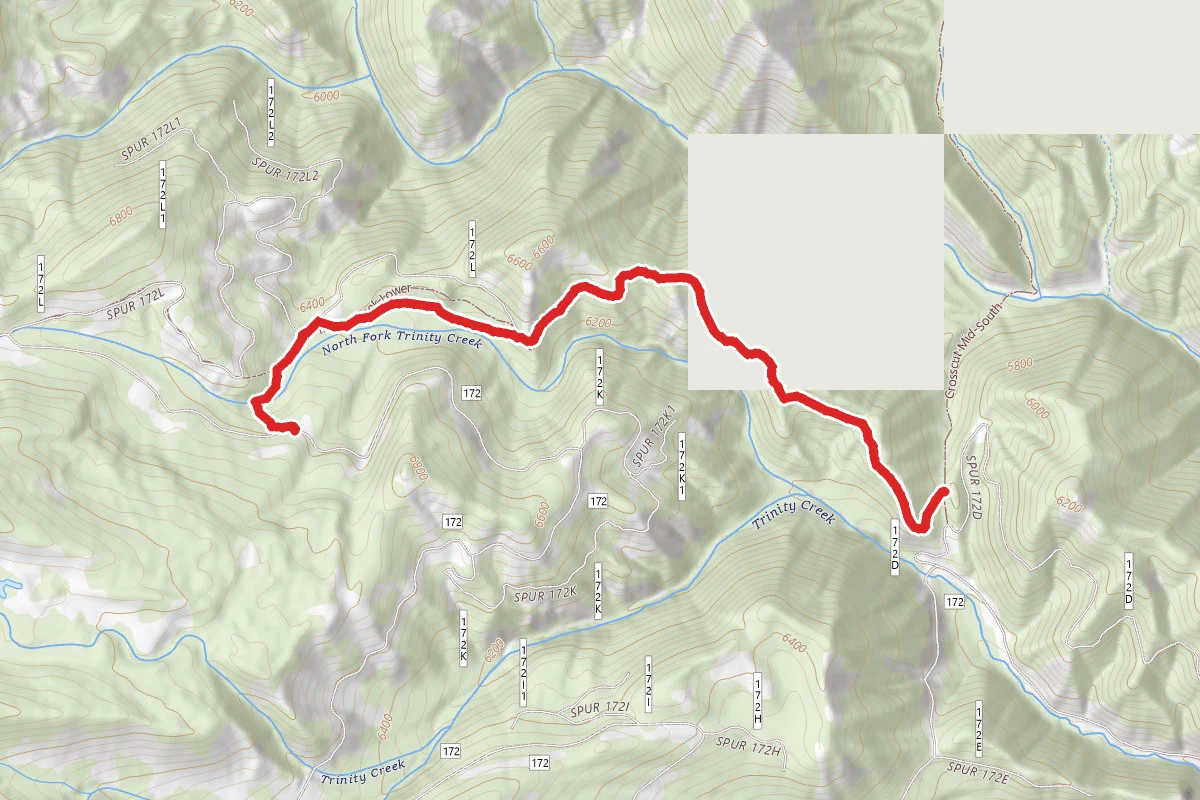 Trinity Creek Lower