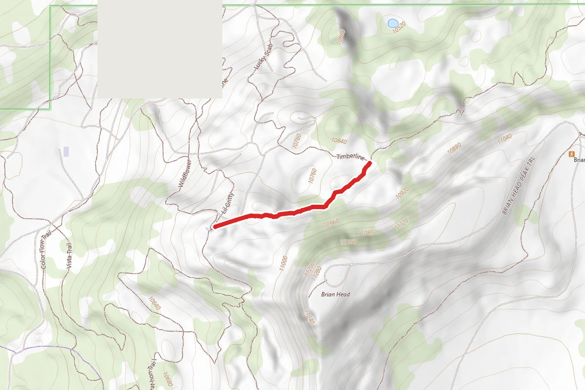 Mace's Run Trail