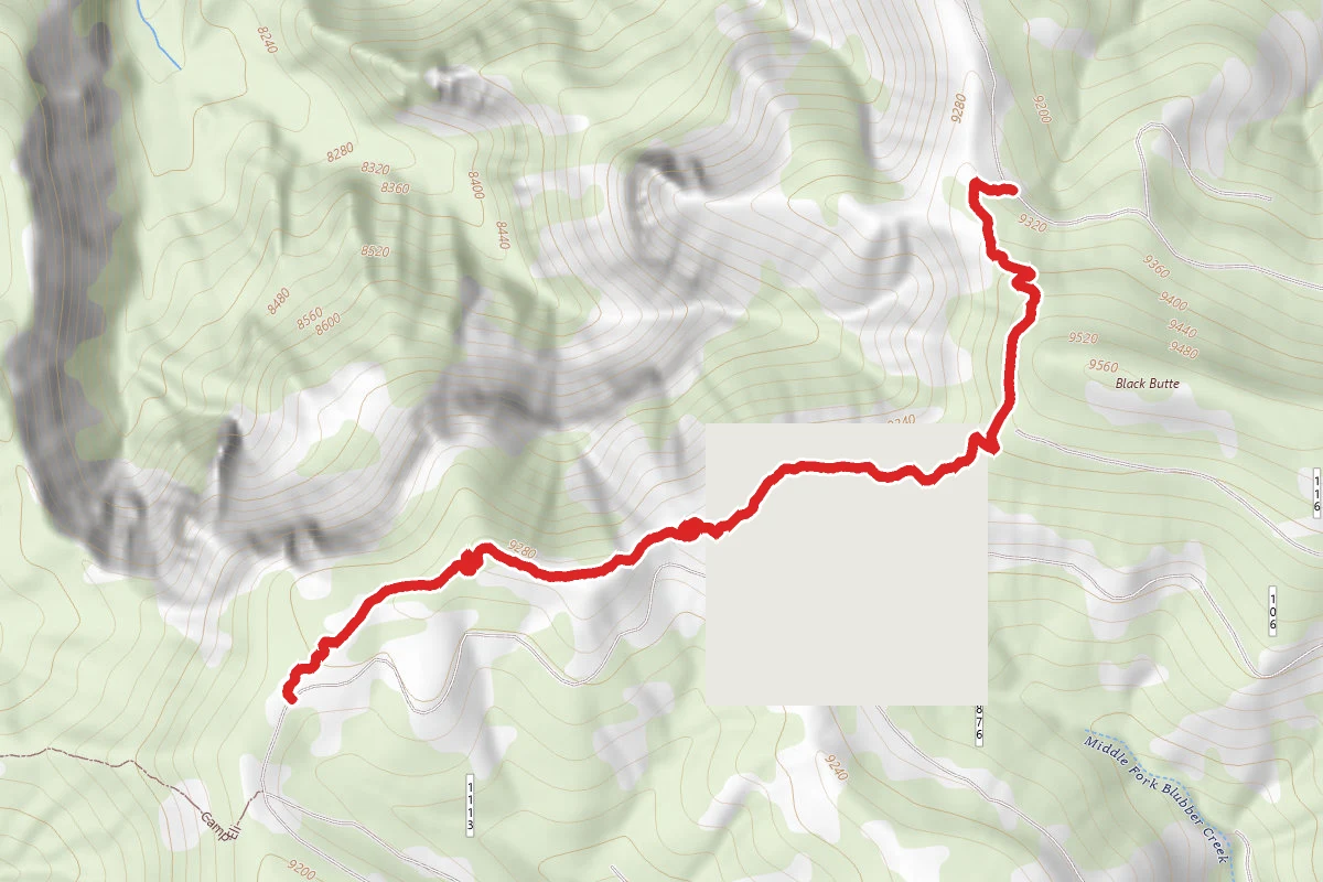 Camp Eli