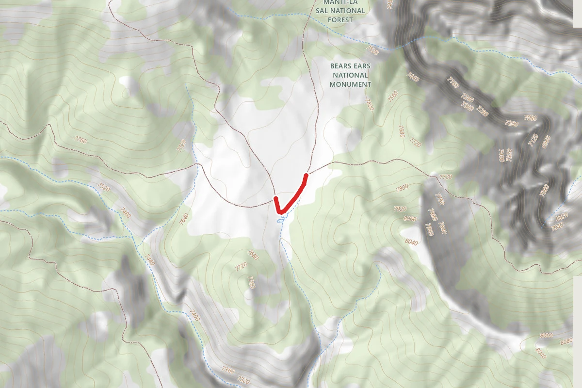 South Elk