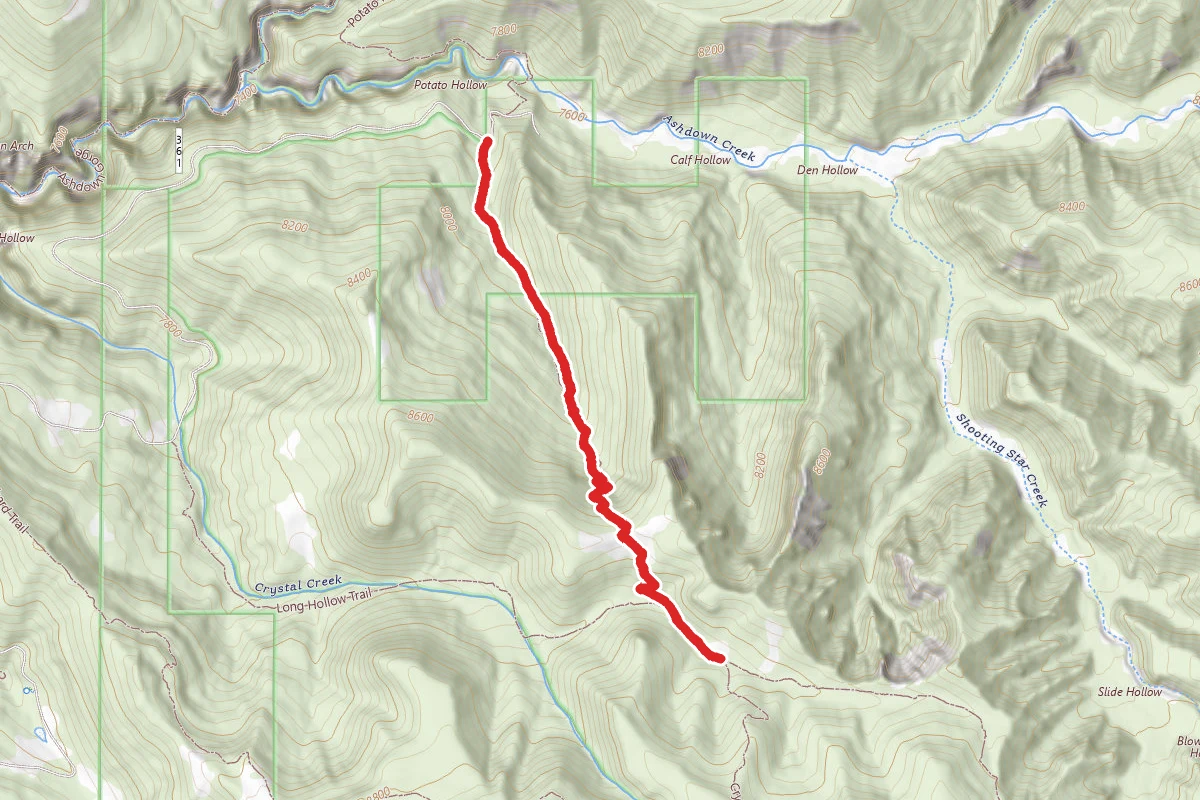 Potato Hollow
