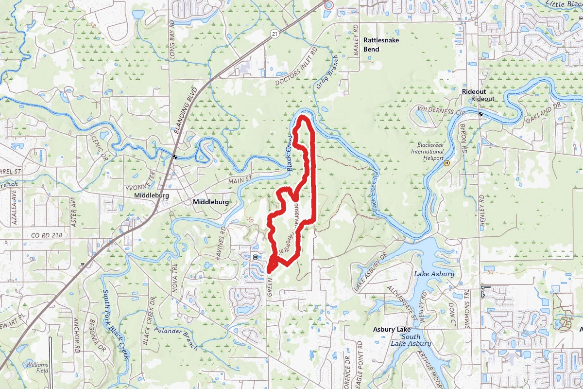 Black Creek Ravines Hike