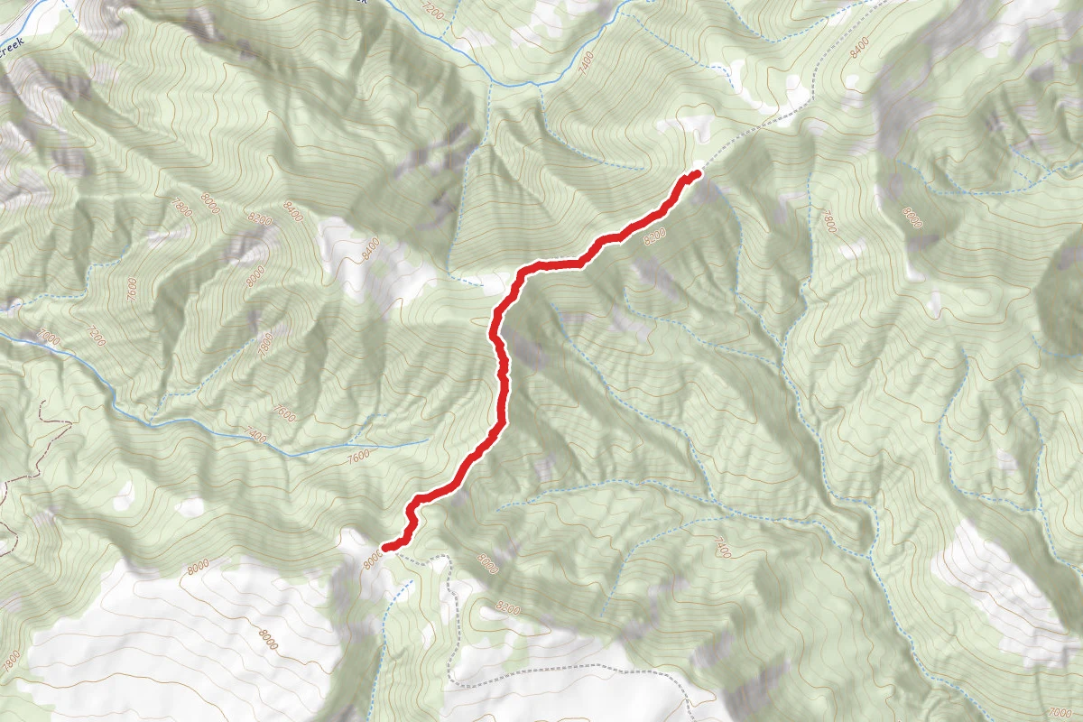 Cedar Mountain Loop