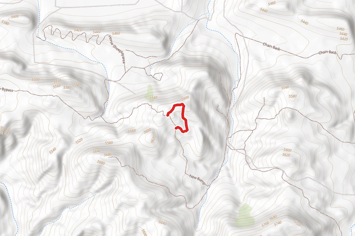 Chain Back Trail