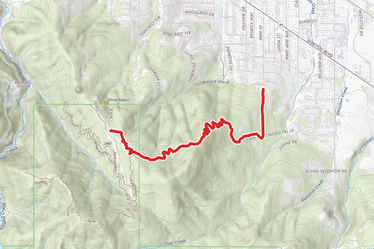 White Rabbit Trail