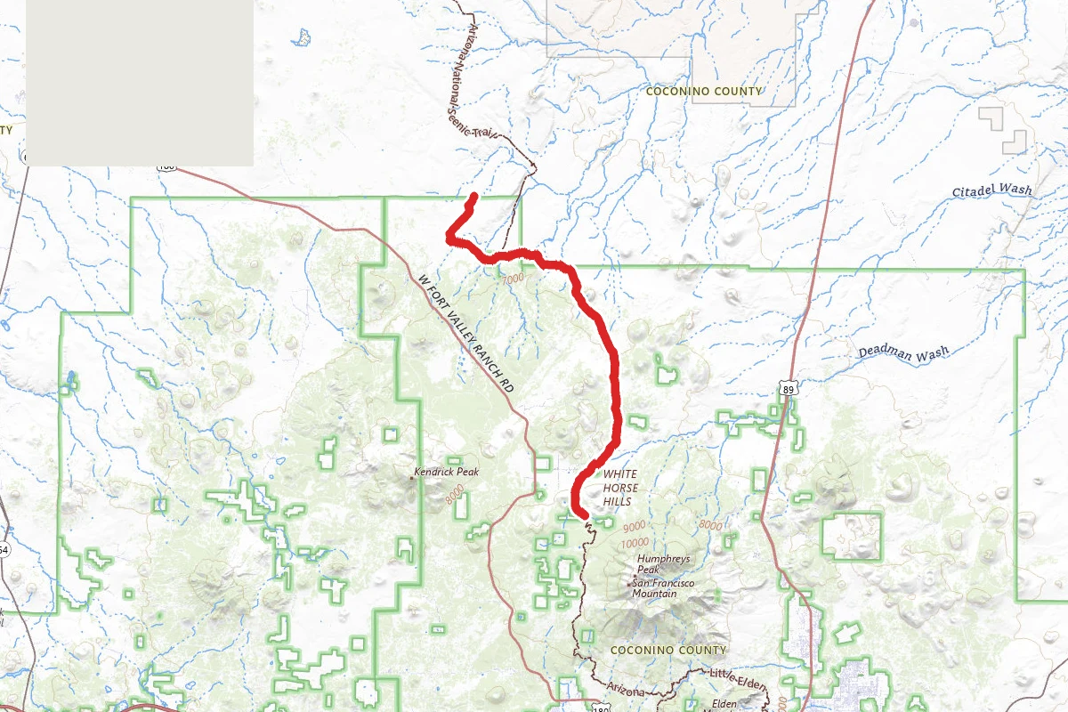Arizona