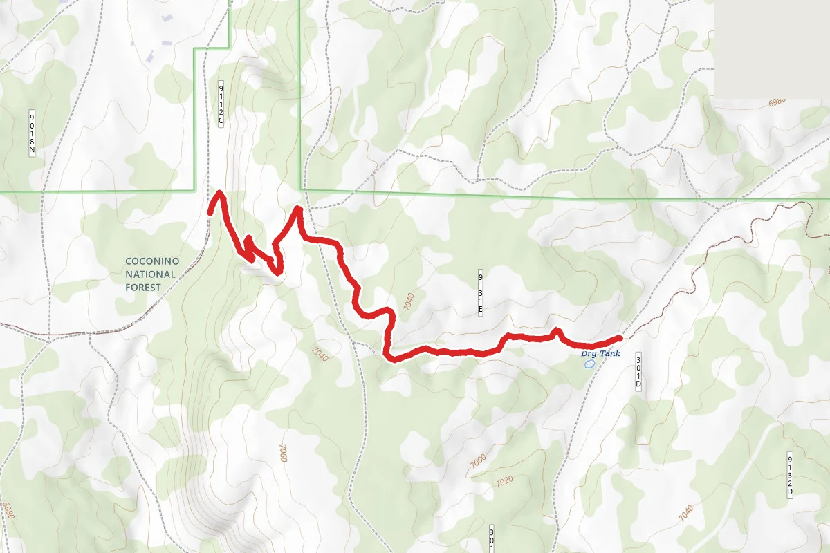 Loop Trail