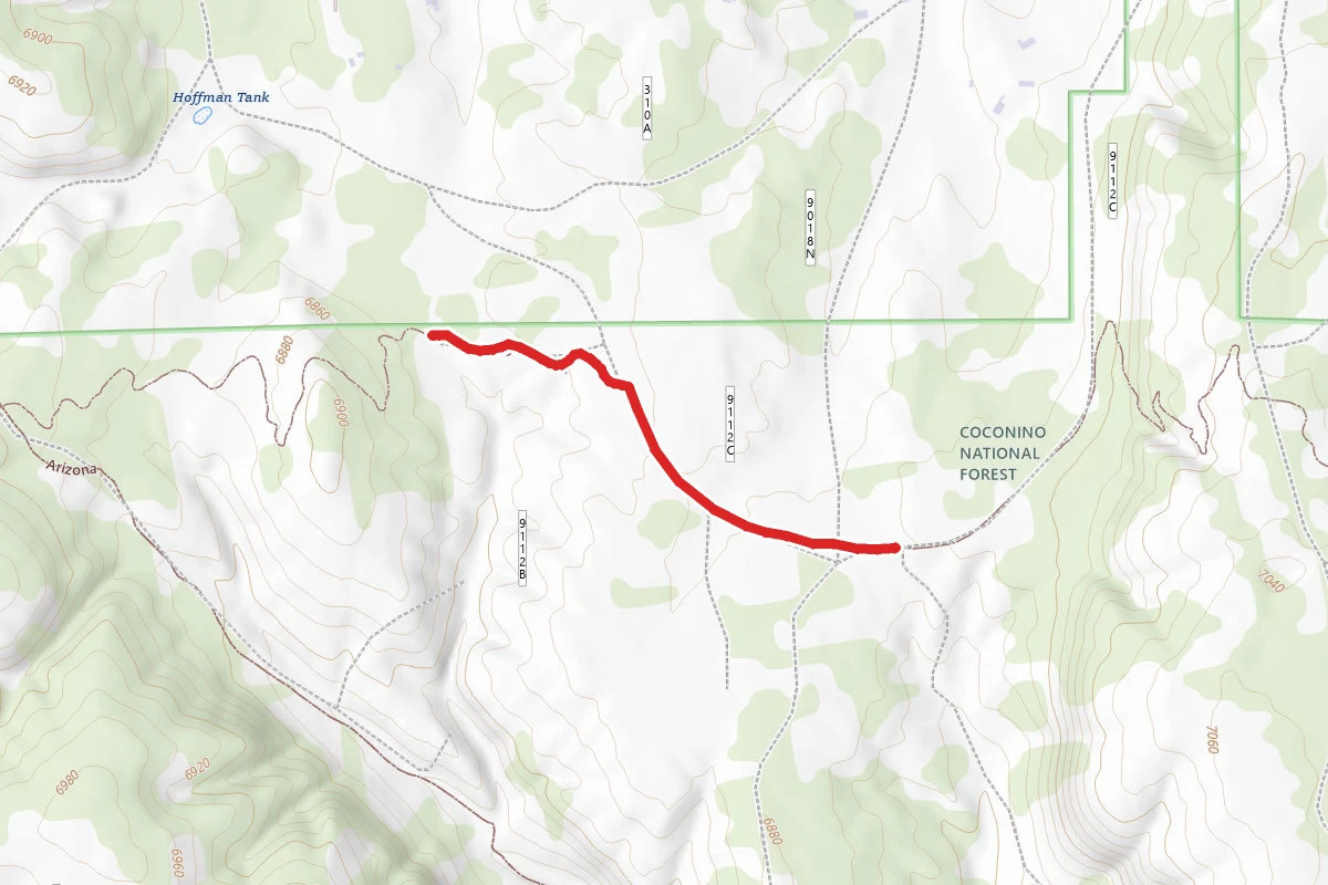 Loop Trail