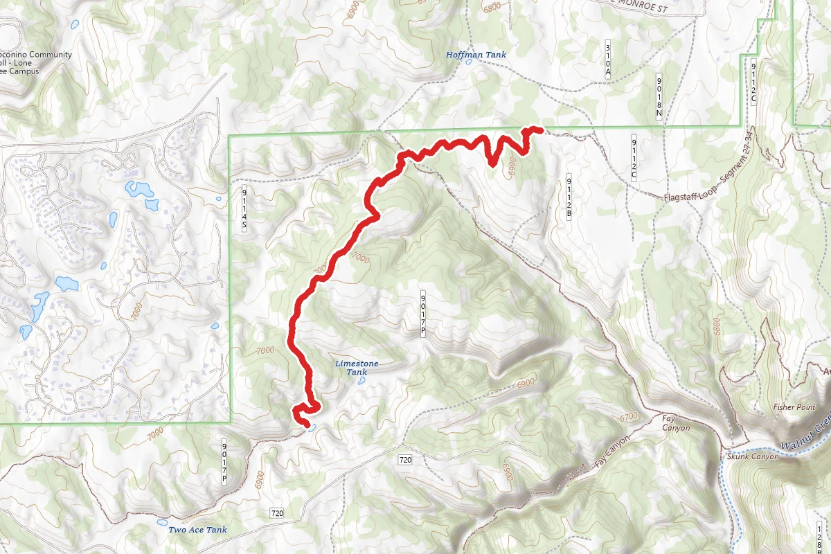 Loop Trail