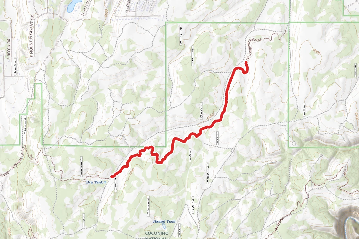 Loop Trail