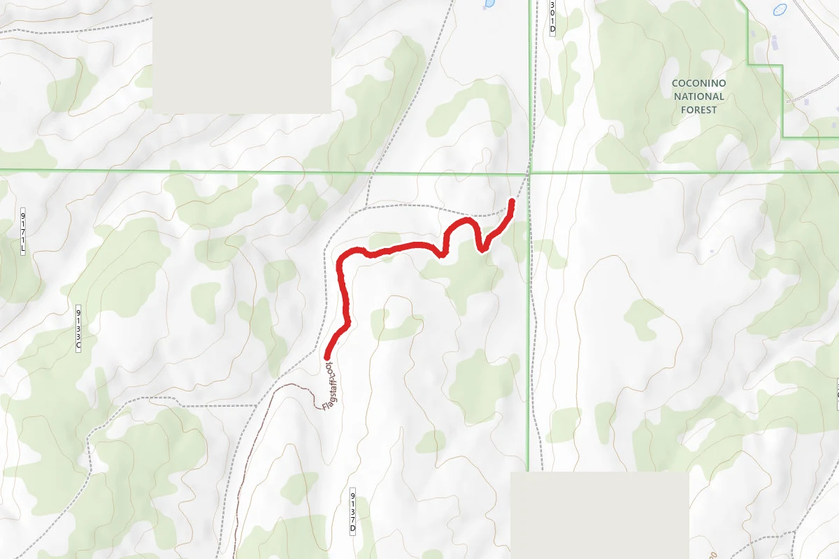 Loop Trail