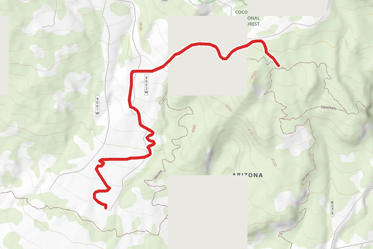 Secret Trail