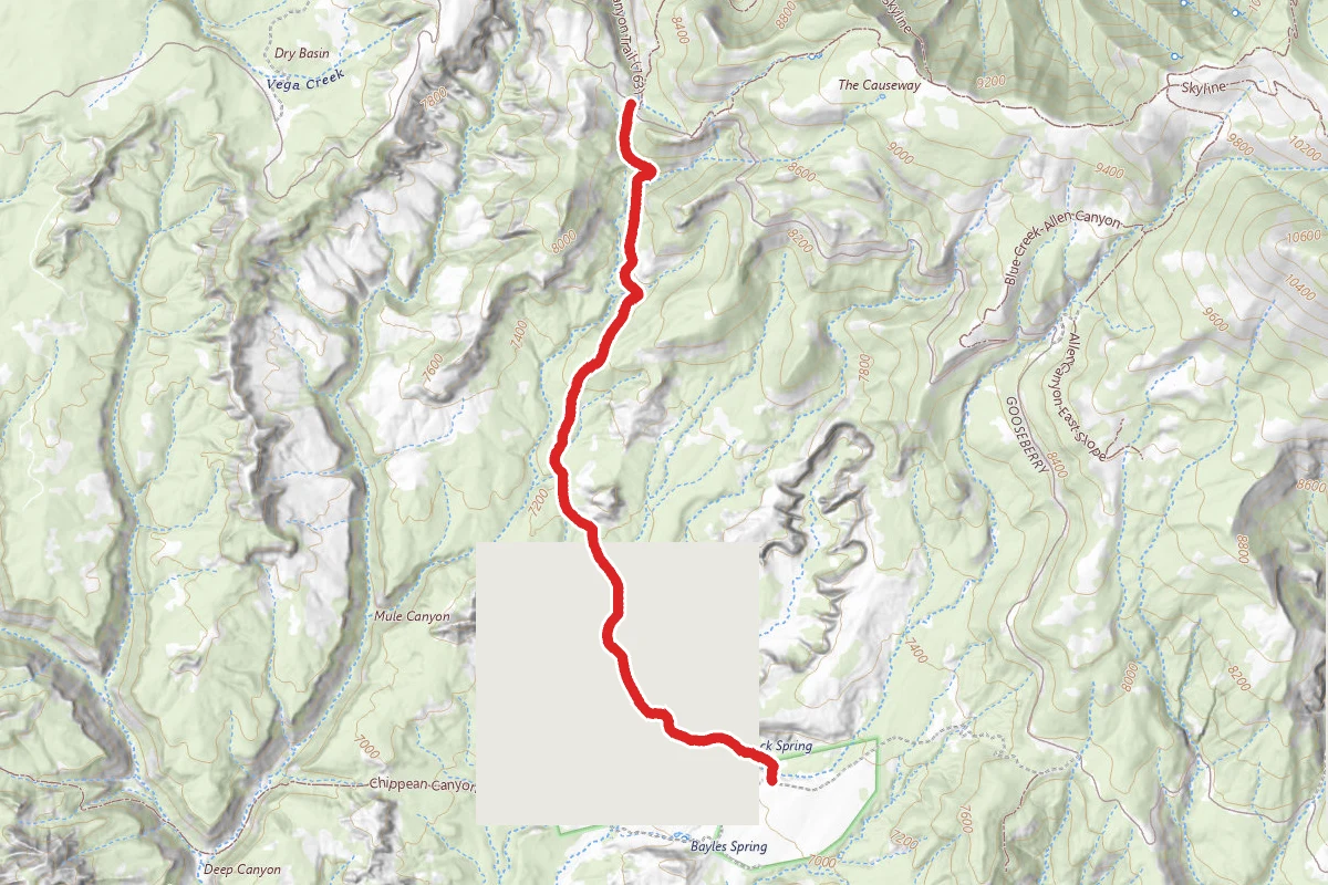 Mule Canyon (5913)